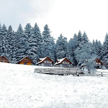 W Kasinie Tatil Evi *