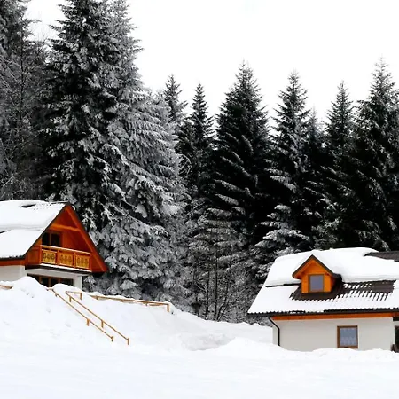 W Kasinie Tatil Evi *